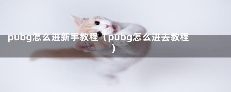 pubg怎么进新手教程（pubg怎么进去教程）