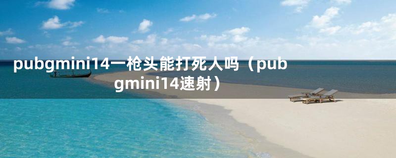 pubgmini14一枪头能打死人吗（pubgmini14速射）