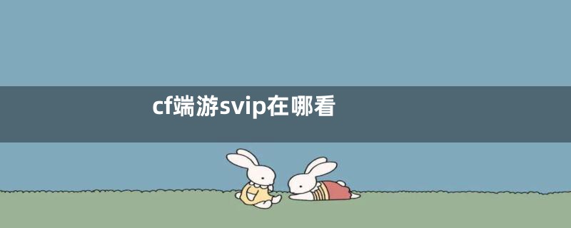 cf端游svip在哪看