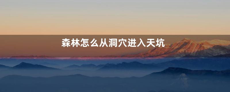 森林怎么从洞穴进入天坑