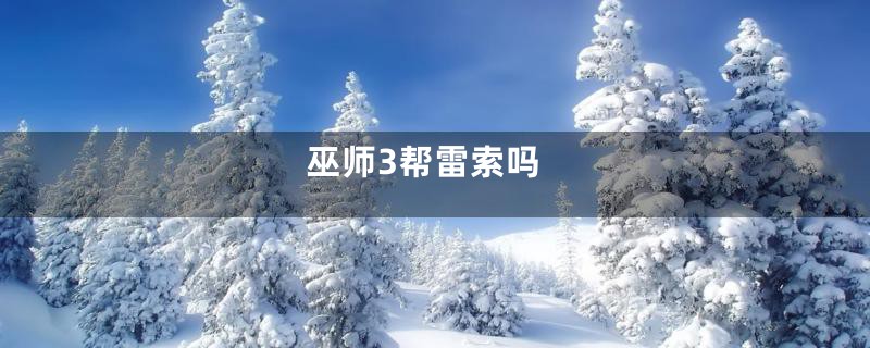 巫师3帮雷索吗