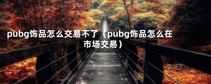 pubg饰品怎么交易不了（pubg饰品怎么在市场交易）