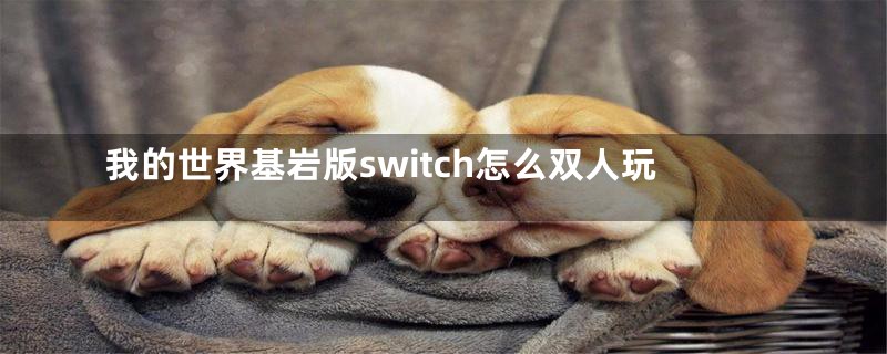 我的世界基岩版switch怎么双人玩