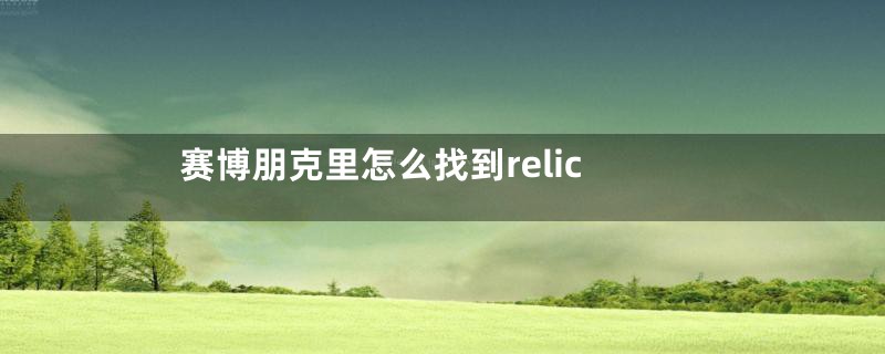 赛博朋克里怎么找到relic