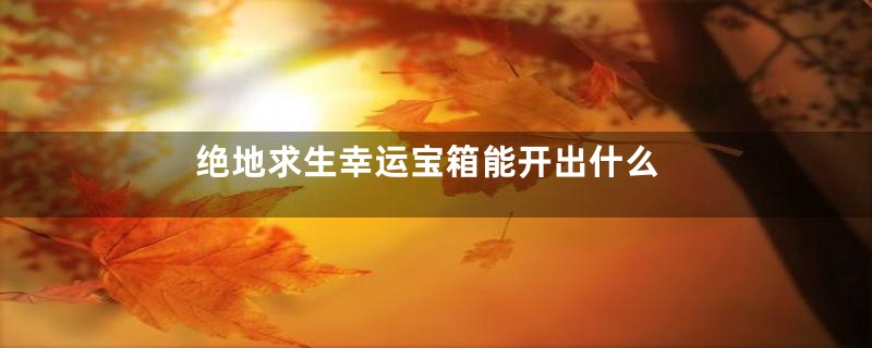 绝地求生幸运宝箱能开出什么