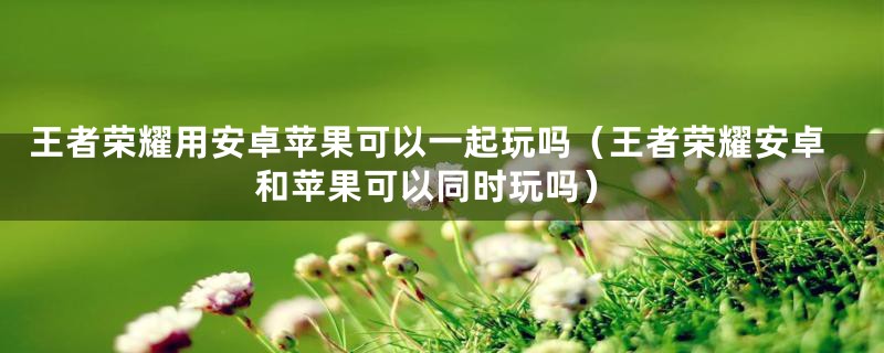 王者荣耀用安卓苹果可以一起玩吗（王者荣耀安卓和苹果可以同时玩吗）