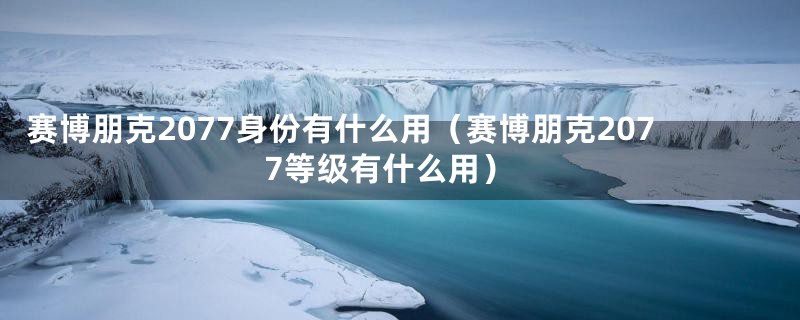 赛博朋克2077身份有什么用（赛博朋克2077等级有什么用）