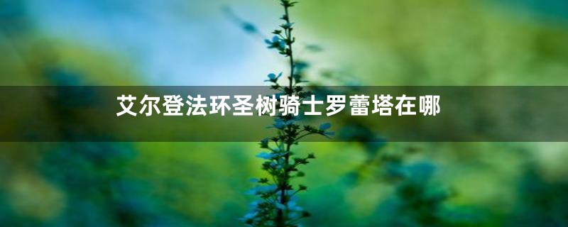 艾尔登法环圣树骑士罗蕾塔在哪