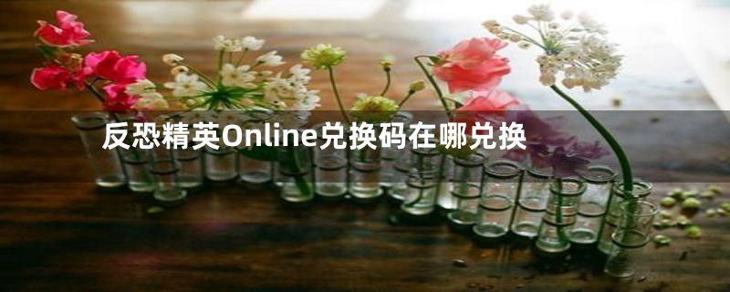 反恐精英Online兑换码在哪兑换