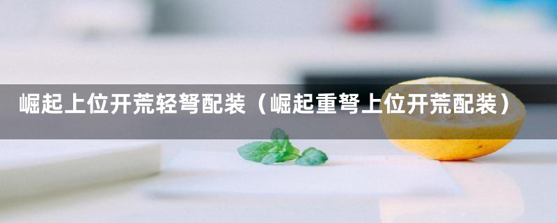 崛起上位开荒轻弩配装（崛起重弩上位开荒配装）