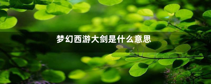 梦幻西游大剑是什么意思