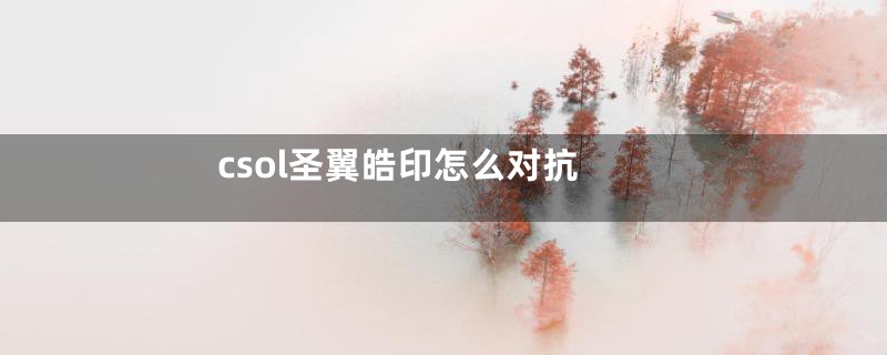 csol圣翼皓印怎么对抗