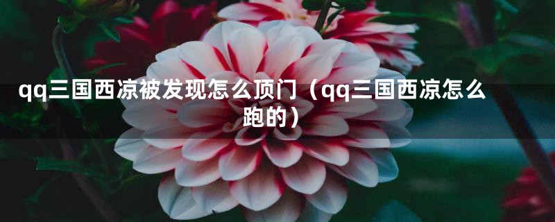 qq三国西凉被发现怎么顶门（qq三国西凉怎么跑的）