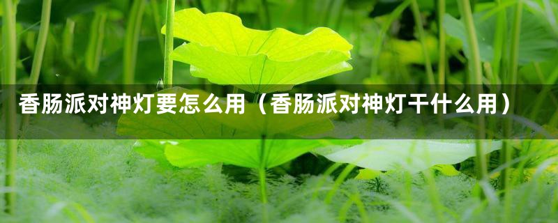 香肠派对神灯要怎么用（香肠派对神灯干什么用）