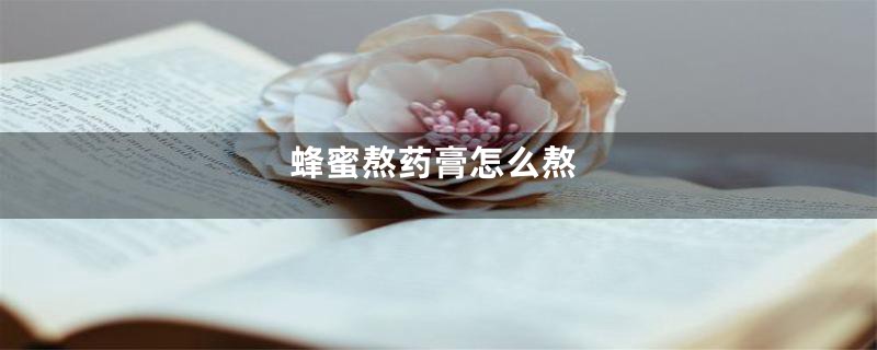 蜂蜜熬药膏怎么熬