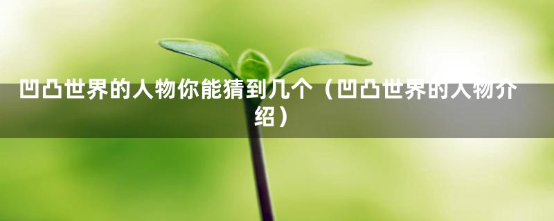 凹凸世界的人物你能猜到几个（凹凸世界的人物介绍）