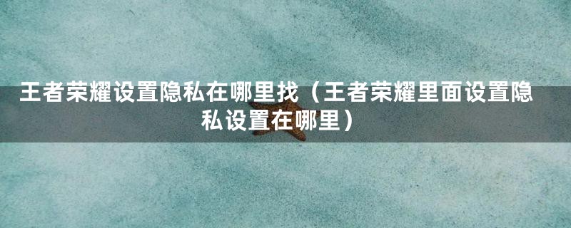 王者荣耀设置隐私在哪里找（王者荣耀里面设置隐私设置在哪里）