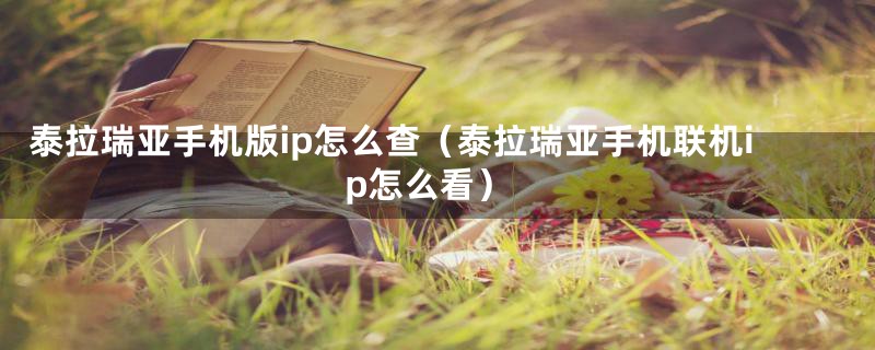 泰拉瑞亚手机版ip怎么查（泰拉瑞亚手机联机ip怎么看）