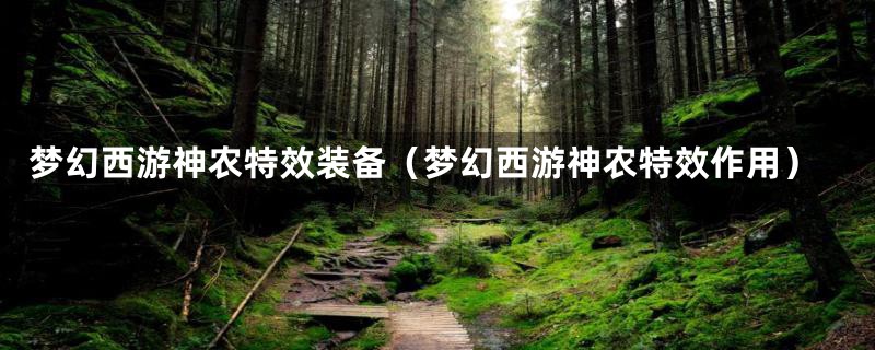 梦幻西游神农特效装备（梦幻西游神农特效作用）