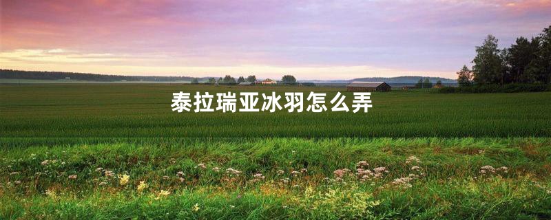 泰拉瑞亚冰羽怎么弄