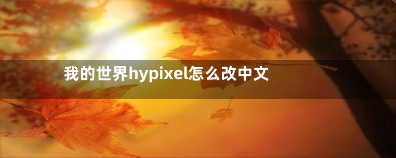 我的世界hypixel怎么改中文