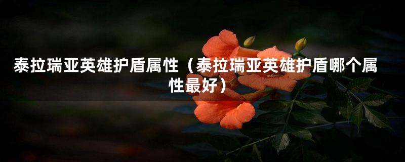 泰拉瑞亚英雄护盾属性（泰拉瑞亚英雄护盾哪个属性最好）