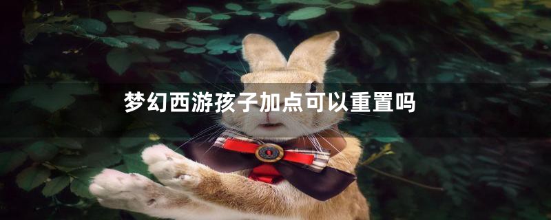 梦幻西游孩子加点可以重置吗