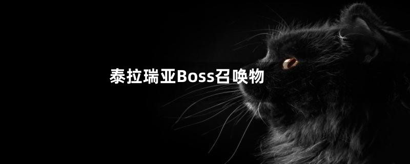 泰拉瑞亚Boss召唤物