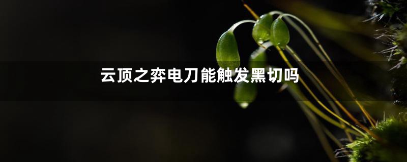 云顶之弈电刀能触发黑切吗