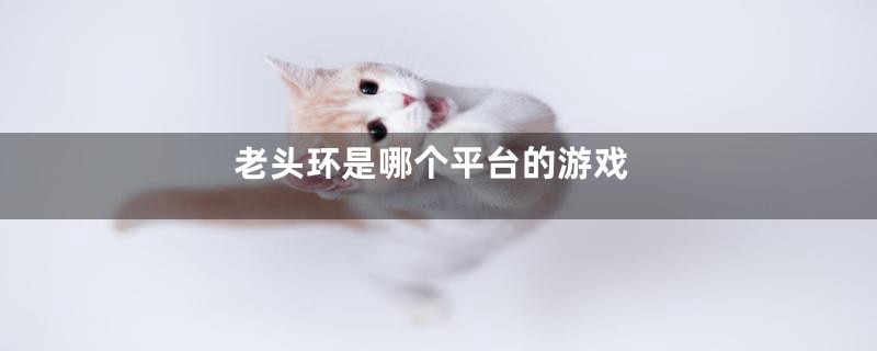 老头环是哪个平台的游戏