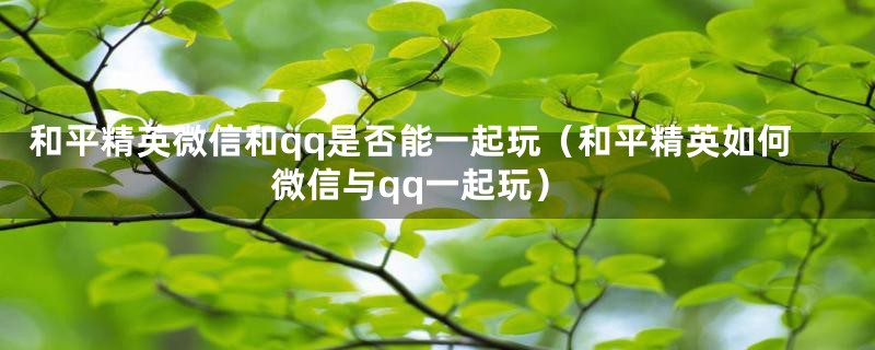 和平精英微信和qq是否能一起玩（和平精英如何微信与qq一起玩）