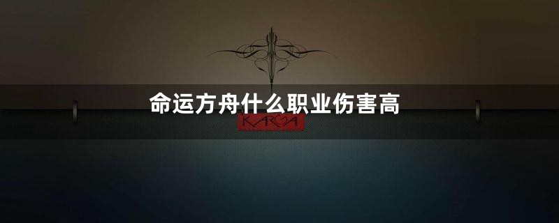 命运方舟什么职业伤害高