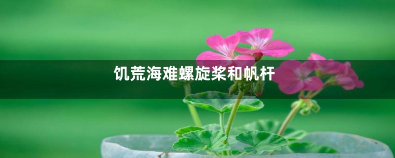 饥荒海难螺旋桨和帆杆