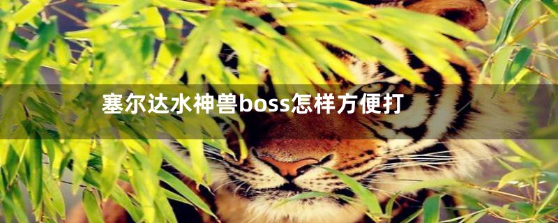 塞尔达水神兽boss怎样方便打