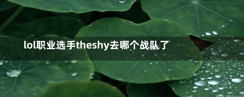 lol职业选手theshy去哪个战队了