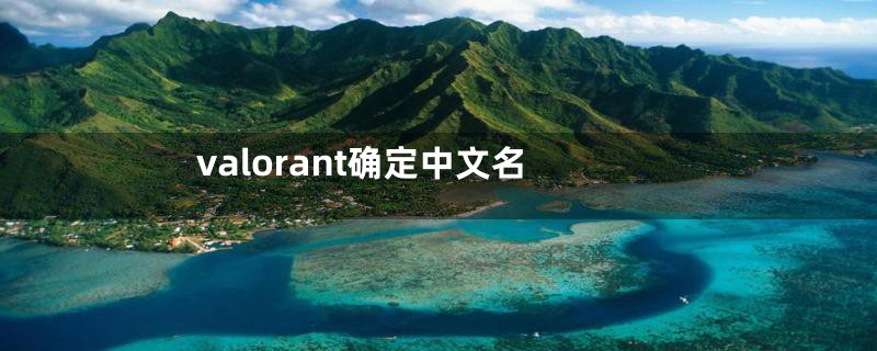 valorant确定中文名