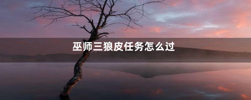 巫师三狼皮任务怎么过