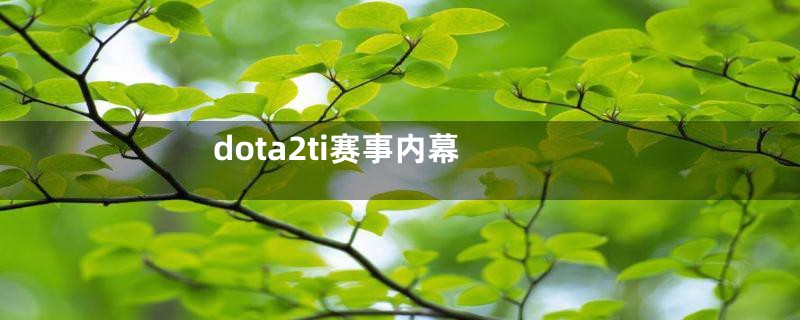 dota2ti赛事内幕