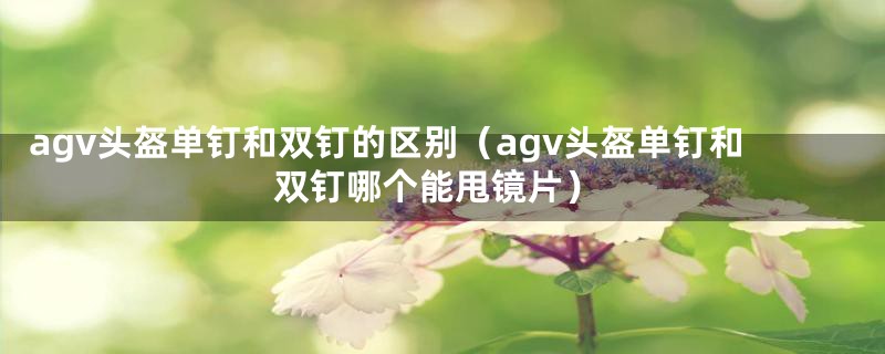 agv头盔单钉和双钉的区别（agv头盔单钉和双钉哪个能甩镜片）