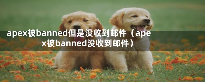 apex被banned但是没收到邮件（apex被banned没收到邮件）