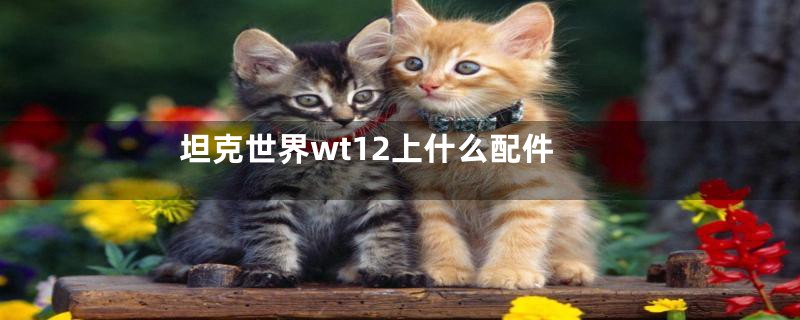 坦克世界wt12上什么配件