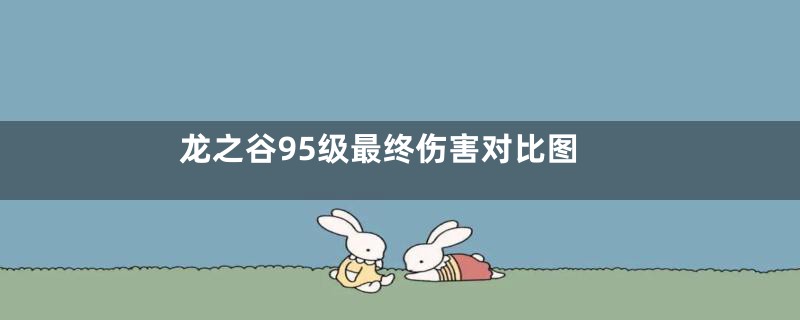 龙之谷95级最终伤害对比图