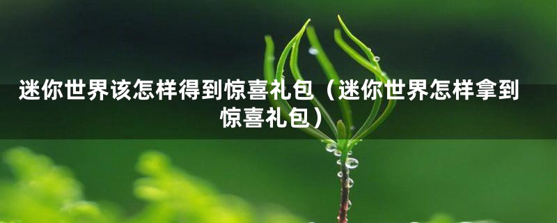 迷你世界该怎样得到惊喜礼包（迷你世界怎样拿到惊喜礼包）