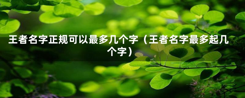 王者名字正规可以最多几个字（王者名字最多起几个字）