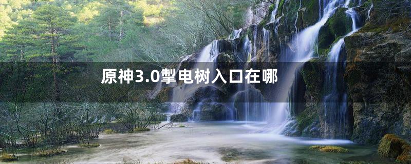 原神3.0掣电树入口在哪