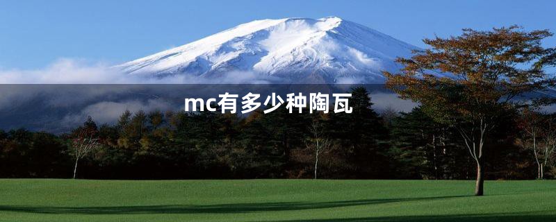 mc有多少种陶瓦