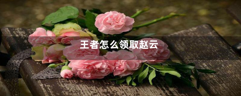 王者怎么领取赵云