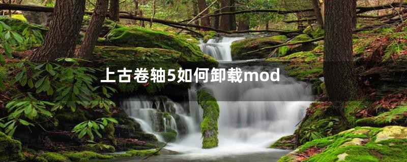 上古卷轴5如何卸载mod