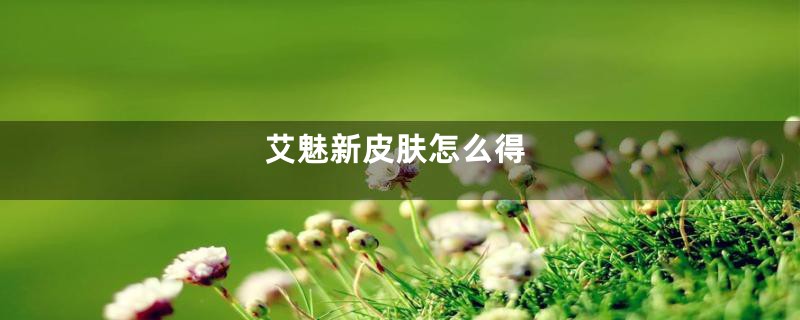 艾魅新皮肤怎么得