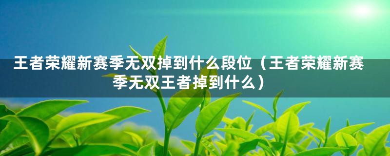 王者荣耀新赛季无双掉到什么段位（王者荣耀新赛季无双王者掉到什么）